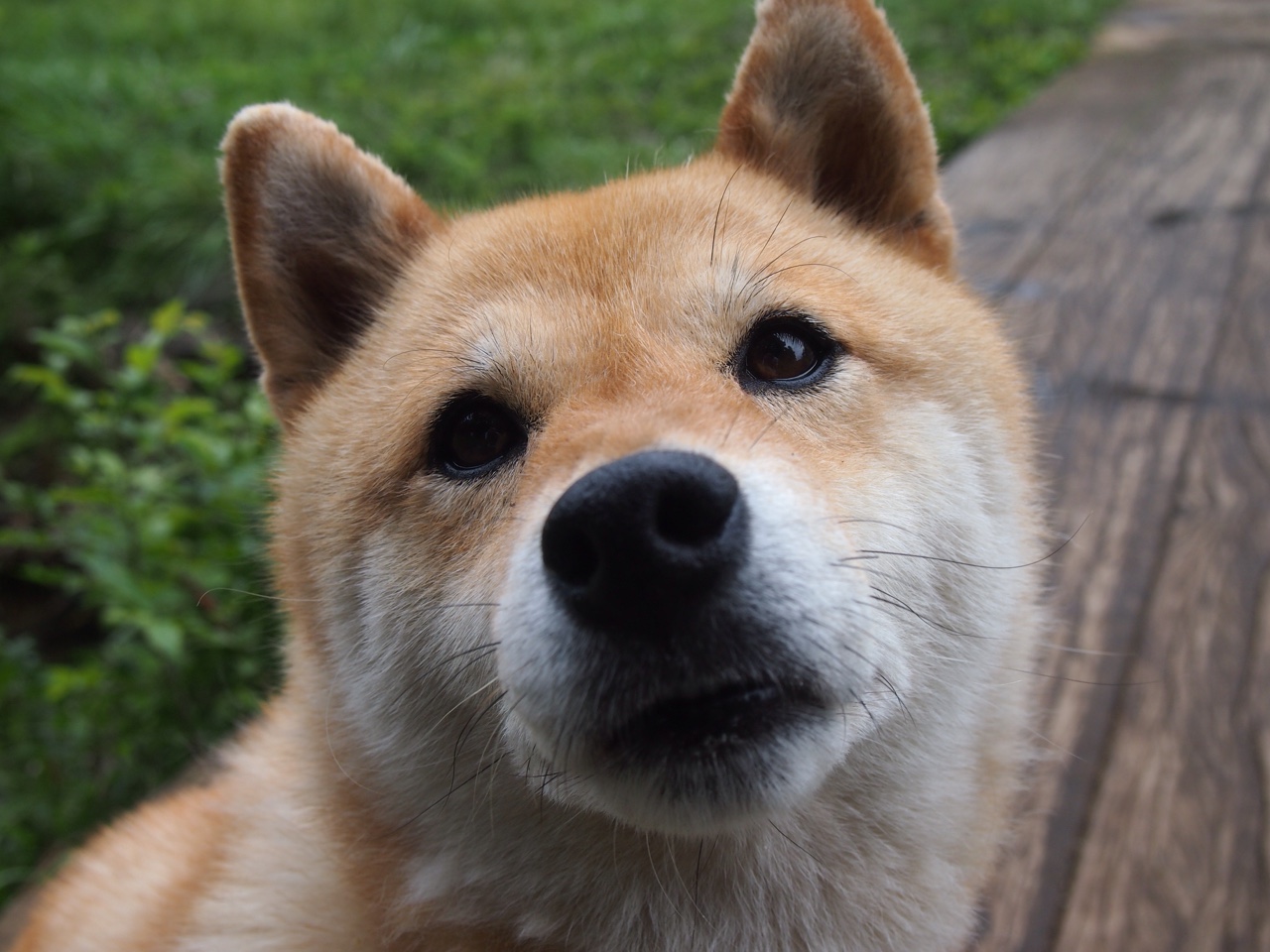 五大联赛裁判争议判罚对比赛走势的潜在影响，五大联赛裁判薪资