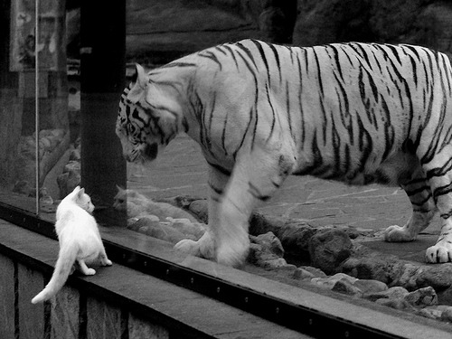 体育文化节丰富多彩传承创新，体育文化节活动