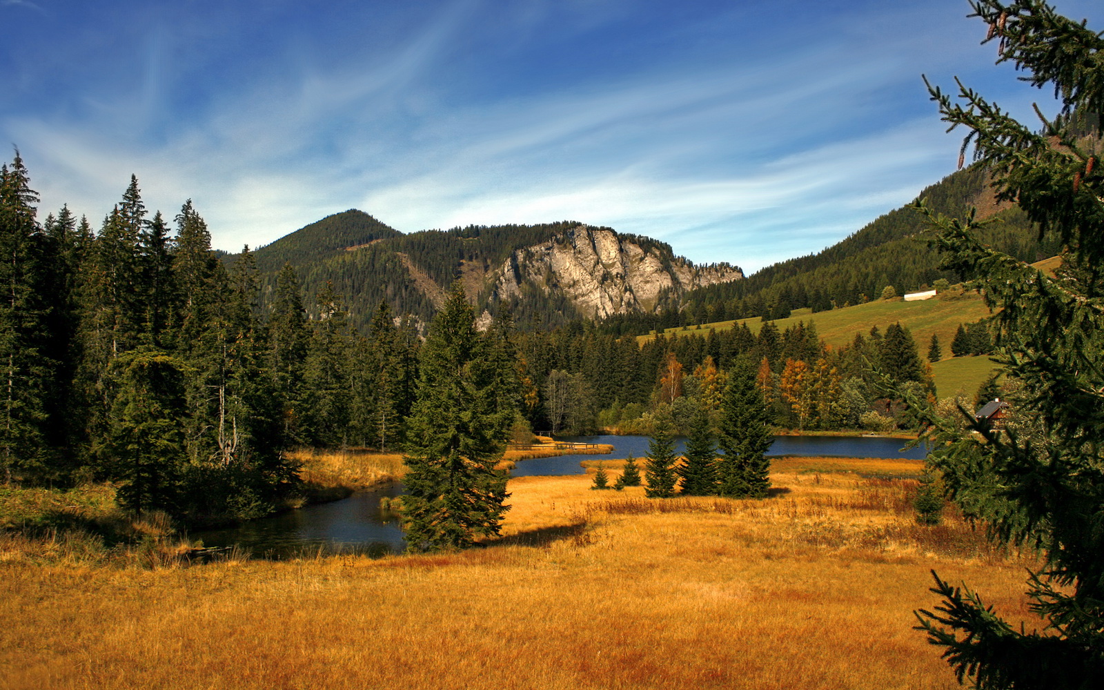 王者荣耀顶级边路单带能力左右战局，王者荣耀边路单挑最强英雄